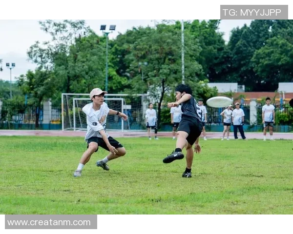 南京飞盘队心理素质深度对比分析揭示团队竞技优势与挑战