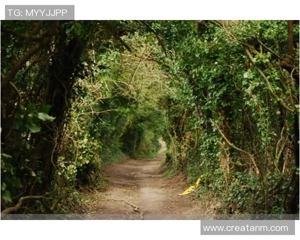 足球明星在教堂的信仰之旅与人生启示探讨 足球明星在教堂的信仰之旅与人生启示探讨