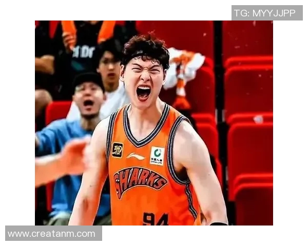 锦标赛点评：上海篮球队的配合表现