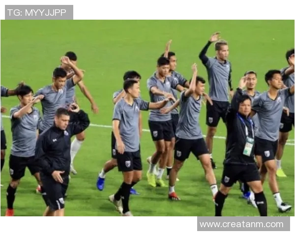 北京排球队在杯赛中的耐力与韧性展现全场精彩表现的深度点评