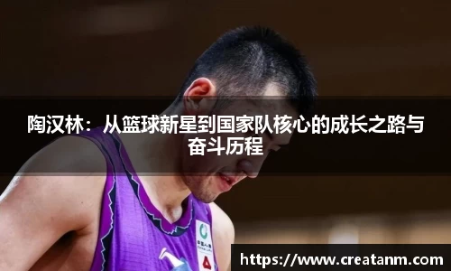 球速体育平台