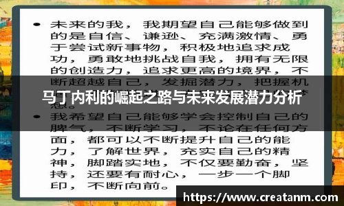 马丁内利的崛起之路与未来发展潜力分析