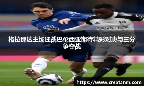 球速体育APP